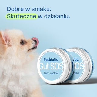 Polecane