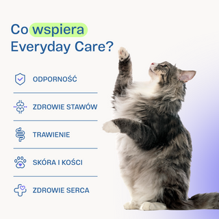 Infografika suplementu Everyday Care Petbiotic dla kota – wsparcie odporności, stawów, trawienia, skóry i serca