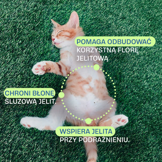 Gut SOS poop control