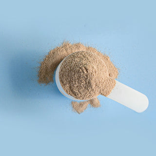 Everyday Care - Gut & Vitalit - Już wkrótce.